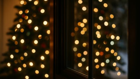Christmas Tree Lights Reflected in Window
