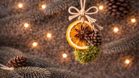 Citrus Pinecone Ornament with Moss Accent