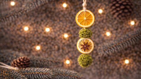 Citrus and Moss Christmas Hanging Ornament
