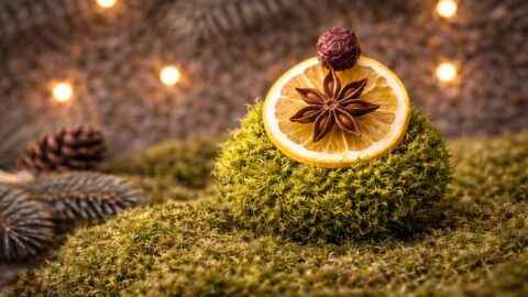 Citrus and Star Anise Ornament on Green Moss