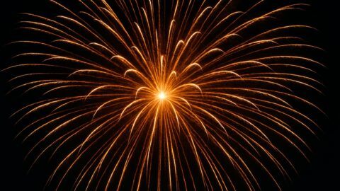 Golden Firework Burst at Night