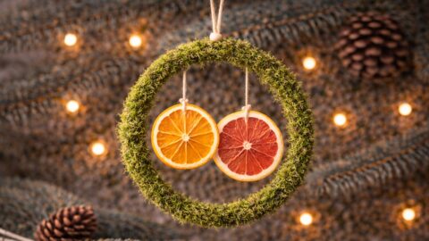 Moss Wreath with Dried Orange and Grapefruit Slices