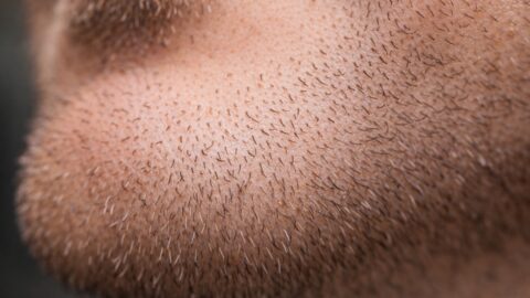 Close Up Beard Stubble Texture on Male Chin