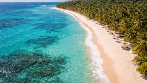 Aerial View of Tropical Beach Paradise