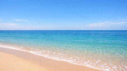 Calm Turquoise Sea on Sandy Beach