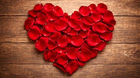 Heart of Red Rose Petals