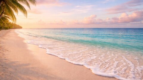 Pastel Tropical Beach at Sunrise